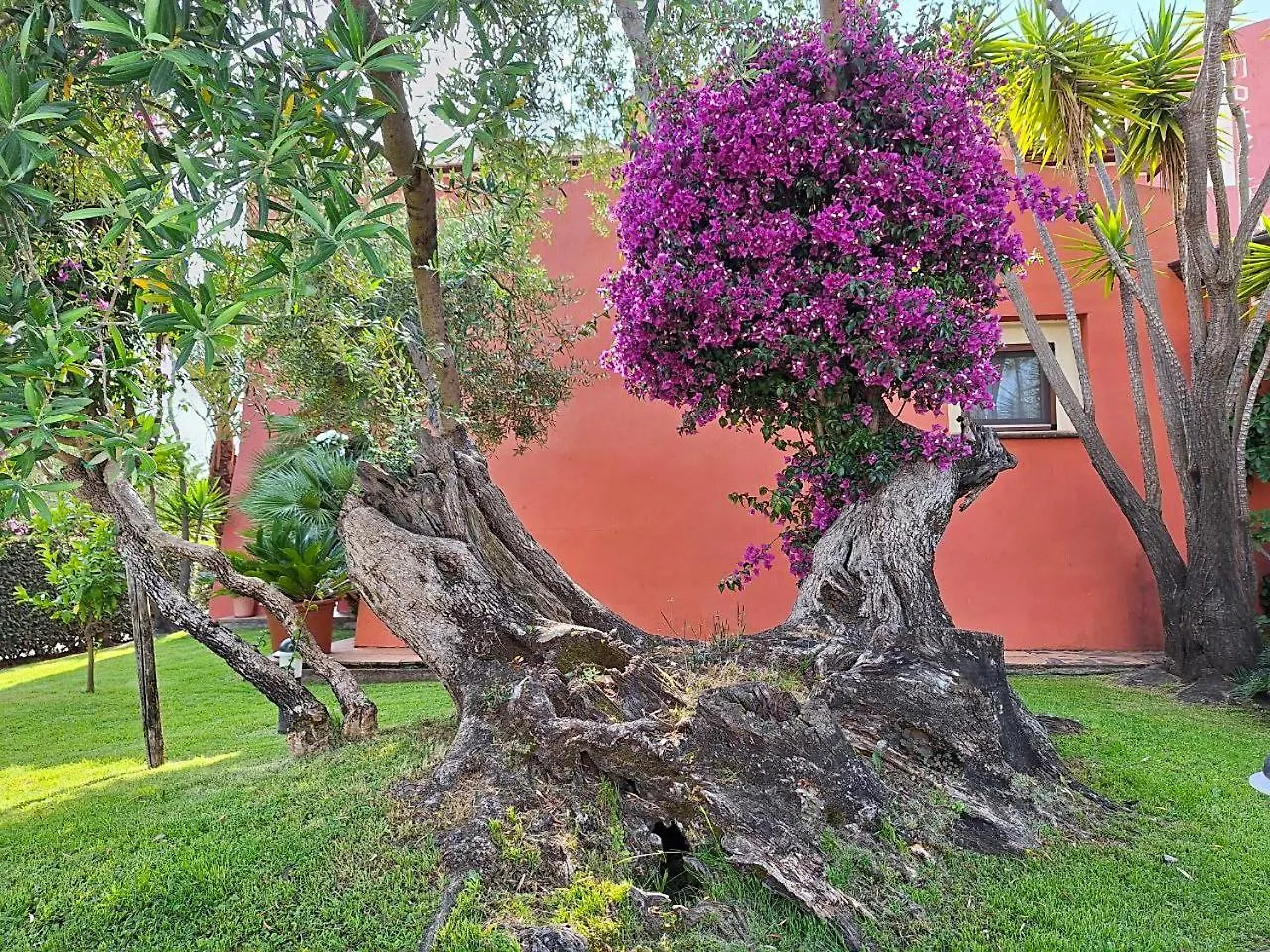***  Hotel Il Vecchio Mulino Arbatax Italy